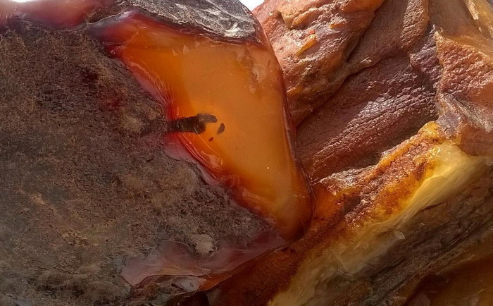Baltic amber  Beata Gregorczyk London bg amber silver cufflinks